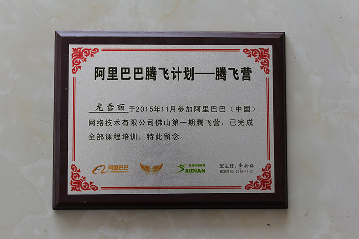 阿里巴巴騰飛計劃